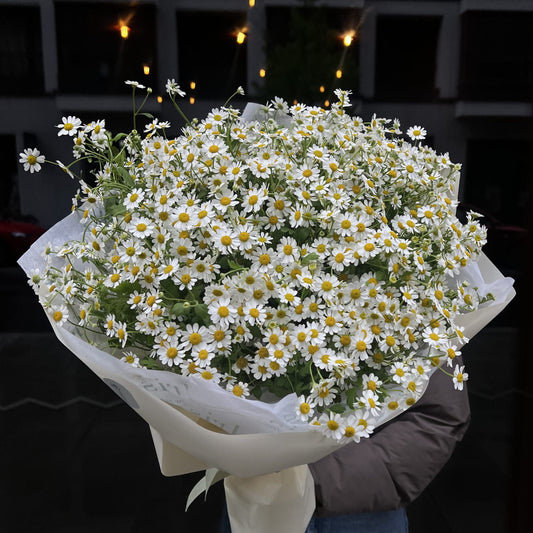 A bouquet of daisies