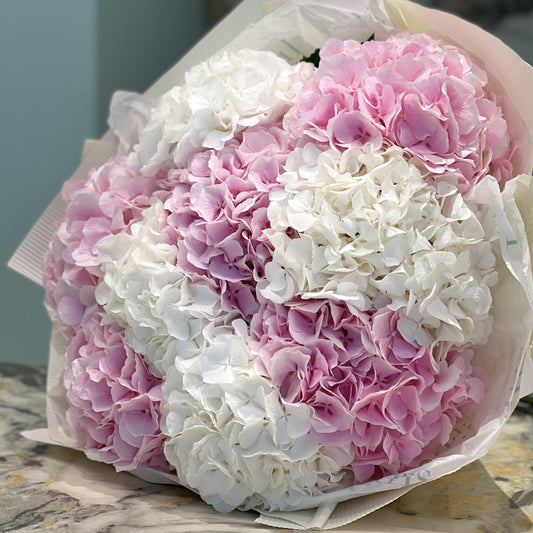 Bouquet of hydrangeas